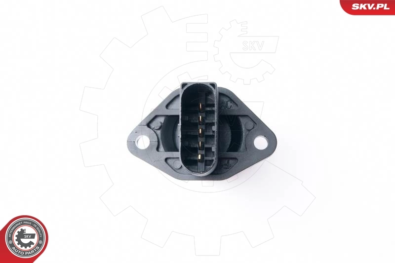 Mass Air Flow Sensor